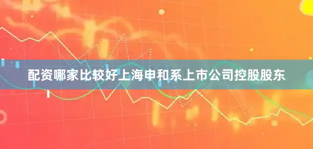 配资哪家比较好上海申和系上市公司控股股东