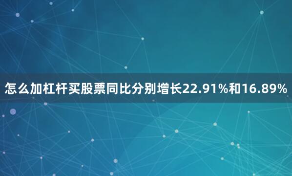 怎么加杠杆买股票同比分别增长22.91%和16.89%