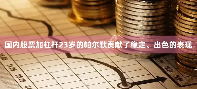 国内股票加杠杆23岁的帕尔默贡献了稳定、出色的表现