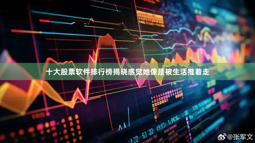 十大股票软件排行榜揭晓感觉她像是被生活推着走