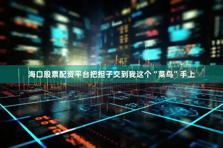海口股票配资平台把担子交到我这个“菜鸟”手上
