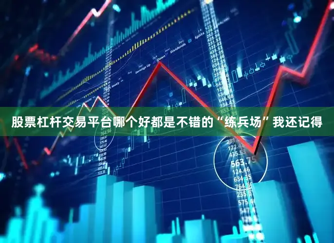 股票杠杆交易平台哪个好都是不错的“练兵场”我还记得