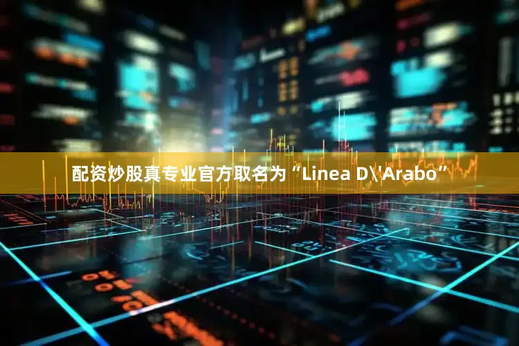 配资炒股真专业官方取名为“Linea D'Arabo”